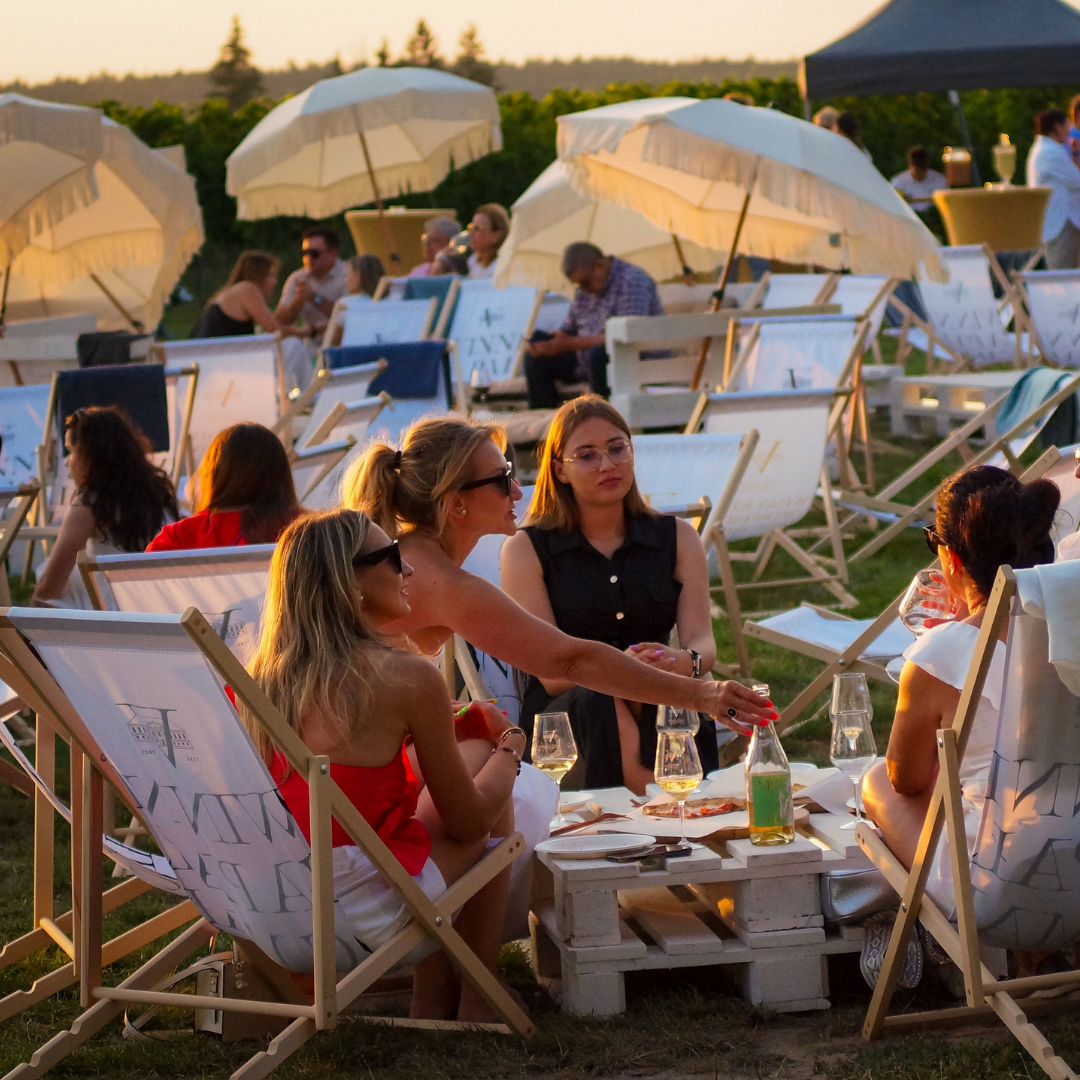 Piknik na Winnicy - chill & wine