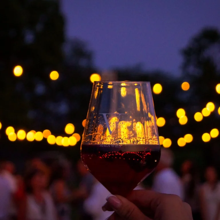 Potańcówka – Wine Party podczas Czerwcówki w Winnicy Pałac Mała Wieś
