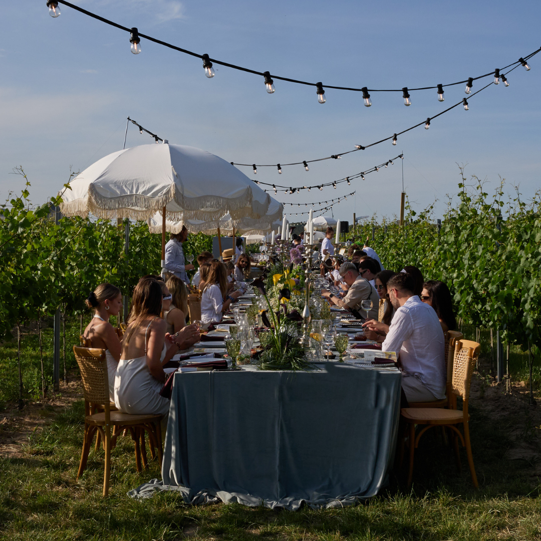 Kolacja wśród winorośli - farm to table