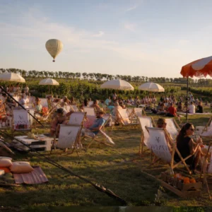 Summer Sky&Wine – 16.08.2026 Piknik na Winnicy, który zapada w pamięć